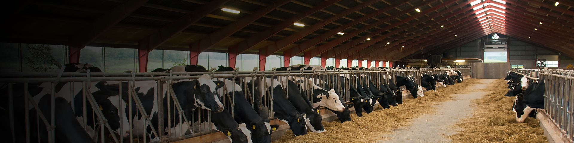 畜牧場(chǎng)甲烷排放監(jiān)測(cè)解決方案